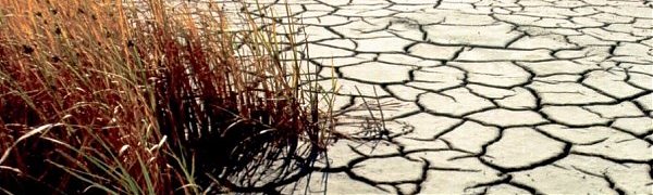 На планете увеличивается число сухих дней