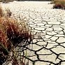 На планете увеличивается число сухих дней
