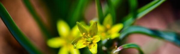 Переменчивая погода ожидается в Приморье до конца рабочей недели