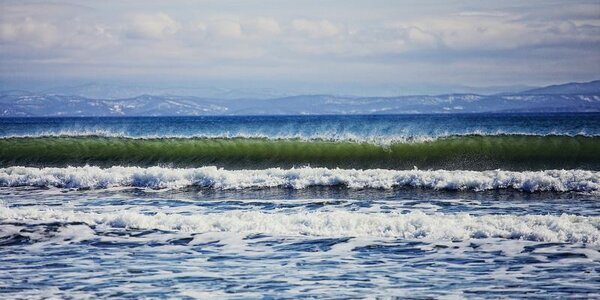 Можно ли заразиться коронавирусом в море или бассейне, рассказали вирусологи
