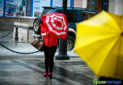 В выходные дни во Владивостоке временами будет идти дождь, усилится ветер
