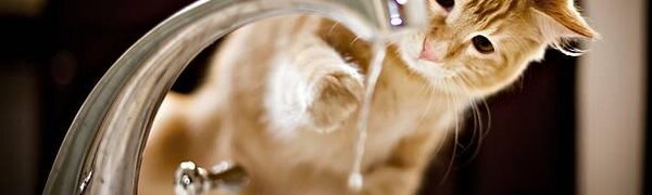 Третий этап гидравлических испытаний начнётся во Владивостоке 9 сентября