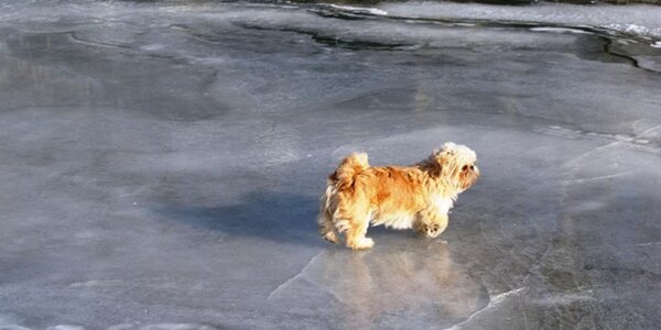 Синоптики озвучили прогноз погоды на начало следующей недели. Ожидается сложный по погоде понедельник