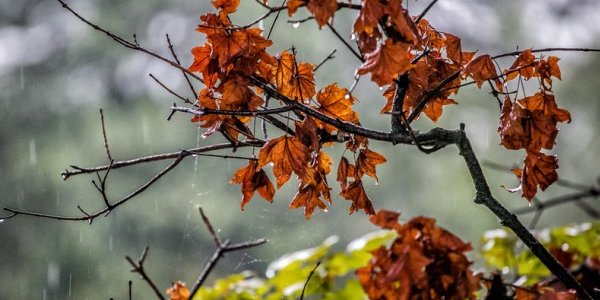 Владивосток готовится принять штормовой удар непогоды