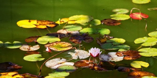 Приморцев ожидают холодные выходные