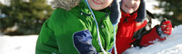 Школьникам разрешили не учиться при температуре ниже −25 °С