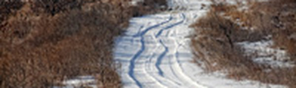 В Приморье скоро вернутся морозы