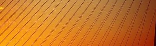 Выше нормы на 5 градусов фактическая среднесуточная температура во Владивостоке