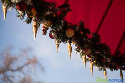 Период аномально холодной погоды в Приморье закончился