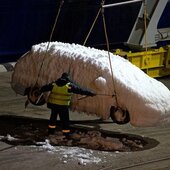 Замороженные автомобили из Японии доставили во Владивосток