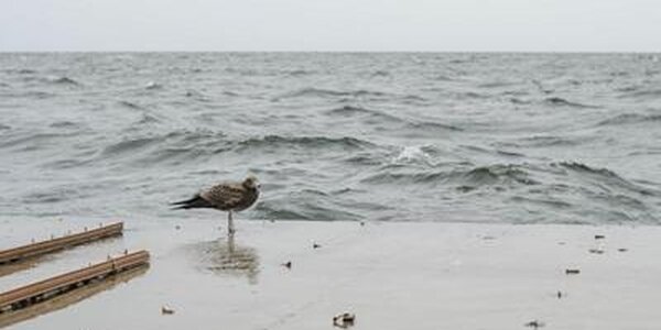 Морозная и ветреная погода в Приморье
