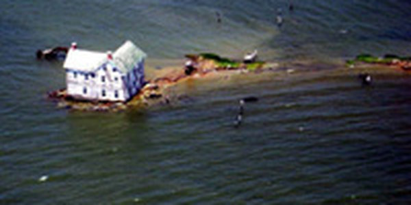 2013 год может перенять статус самого жаркого года в истории