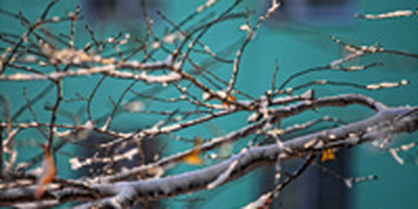 Основное ухудшение погодных условий ожидается в воскресенье