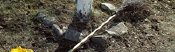 В Парке Минного городка состоится экологический субботник