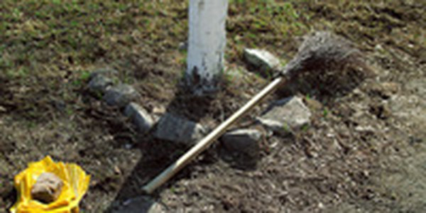 В Парке Минного городка состоится экологический субботник