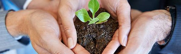 5 июня — Всемирный день охраны окружающей среды