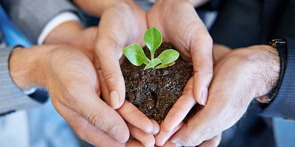 5 июня — Всемирный день охраны окружающей среды