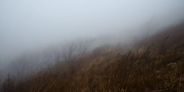 Переменчивая погода ожидает жителей Приморья