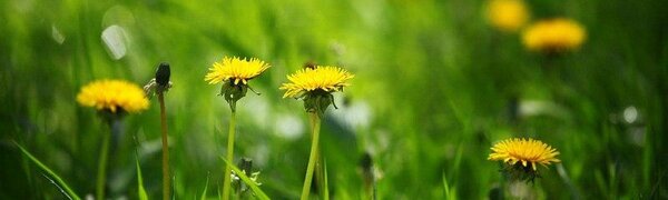 В Гидрометцентре дали прогноз погоды на весну и лето в России