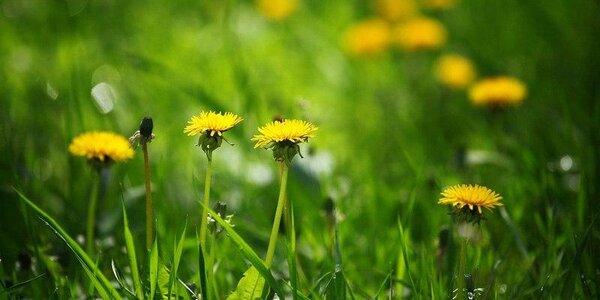 В Гидрометцентре дали прогноз погоды на весну и лето в России