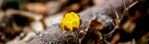 На выходных погода в Приморье не помешает отдыху на природе