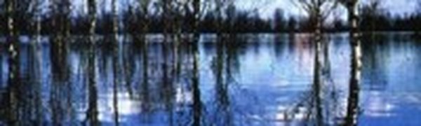 Весеннее половодье в Приморье было ниже климатических значений