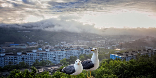 Дождями, грозами и туманом запомнился июль в Приморье
