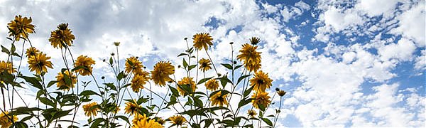 Завтра в Приморье местами пройдут кратковременные дожди