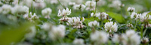 В выходные в Приморье шли дожди