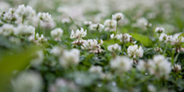 В выходные в Приморье шли дожди