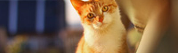 Приморье ощутило первое дыхание осени