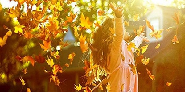 Выходные в ноябре 2015: как отдыхаем?