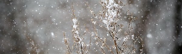 Во второй половине дня в Приморье ожидается усиление осадков