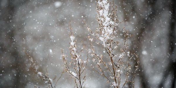 Во второй половине дня в Приморье ожидается усиление осадков