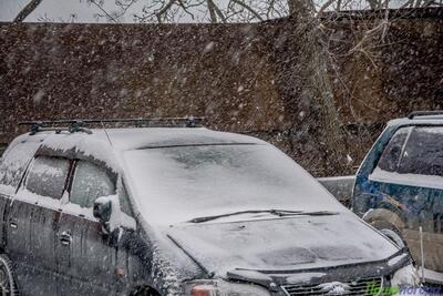 Февраль в Приморье начнется с нового снежного циклона