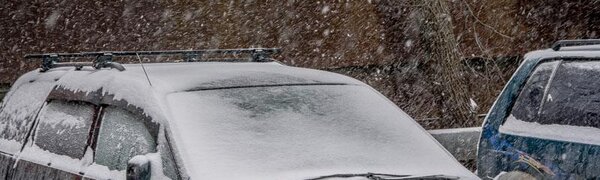 Февраль в Приморье начнется с нового снежного циклона