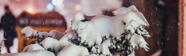 Больше всего снега выпало в Лазовском районе