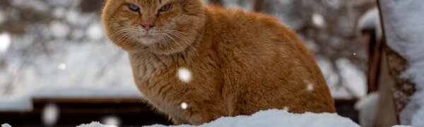 Оттепели до +6 °С наблюдались в Приморье на выходных