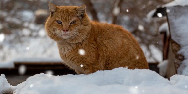 Оттепели до +6 °С наблюдались в Приморье на выходных