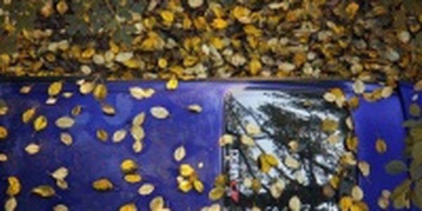 В Приморье пришло тепло. Надолго ли?