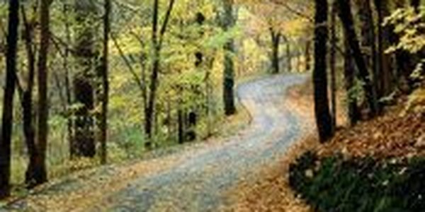 Суббота станет отличным днем для отдыха