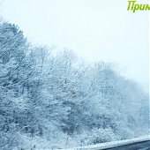Первый снег(ФОТО)