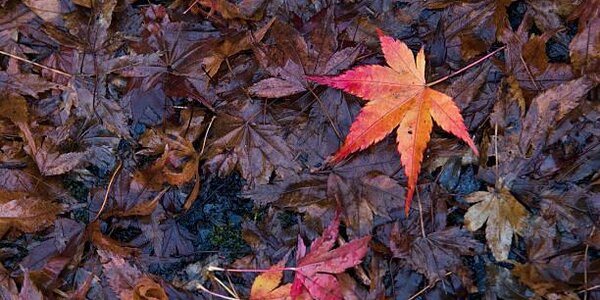Вечером во Владивостоке может начаться дождь