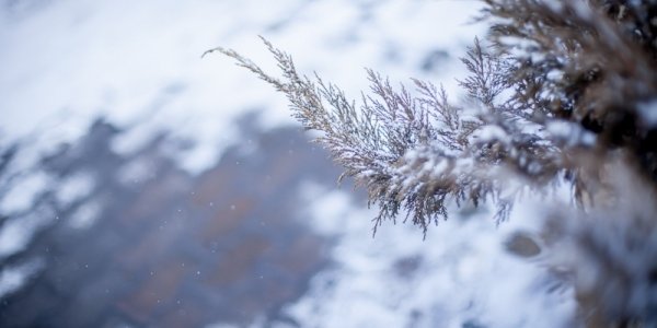 В Приморье сохраняется вероятность слабых осадков