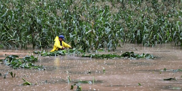 На Китай обрушились сильнейшие за 100 лет ливневые дожди
