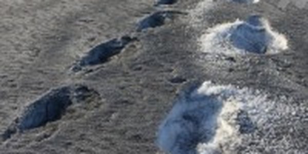 «Черный снег» выпал в Риге