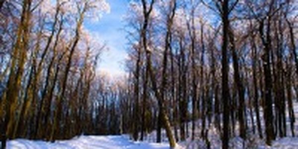 На прошедших выходных погода порадовала приморцев