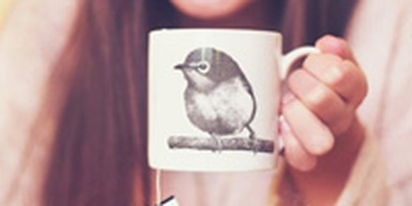 Геннадий Онищенко разрешил заваривать чай снегом