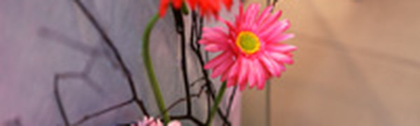 Сегодня Приморье находится под влиянием обширного антициклона 