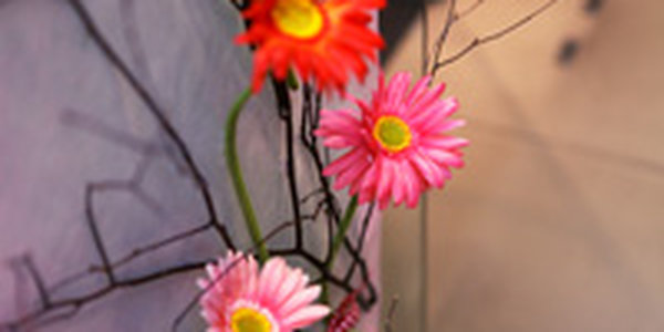 Сегодня Приморье находится под влиянием обширного антициклона 